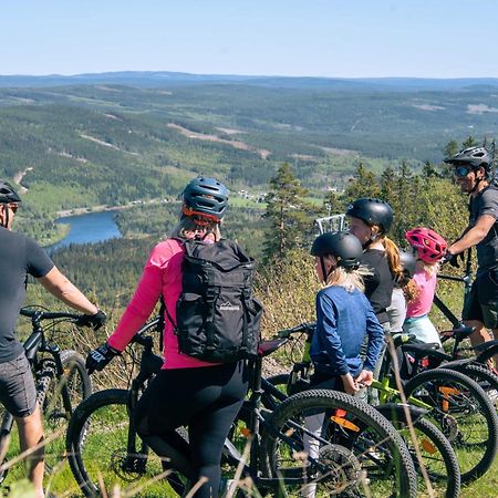 Lyxig Stuga Pa Branaesberget Syssleback Luaran gambar
