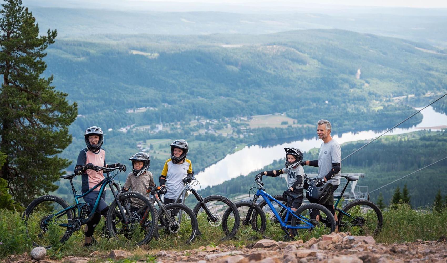 Lyxig Stuga Pa Branaesberget Syssleback Luaran gambar